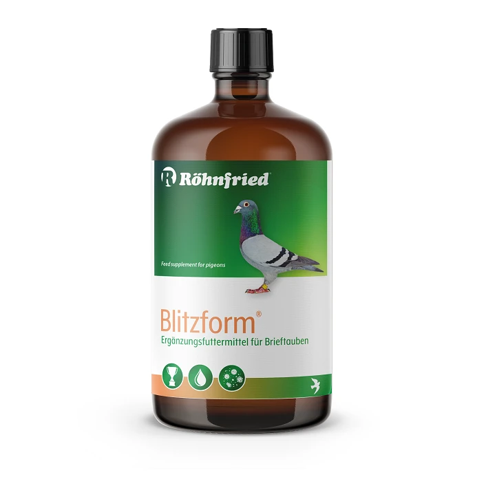 BLITZFORM.jpg
