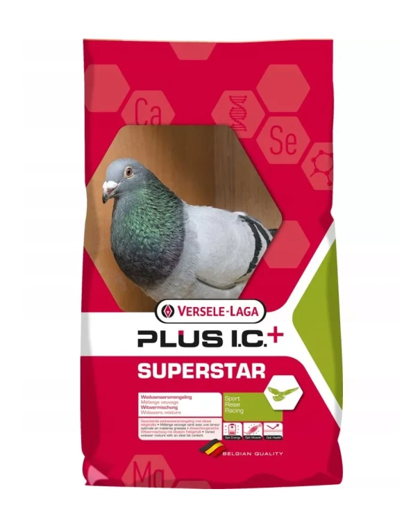 superstar.jpg