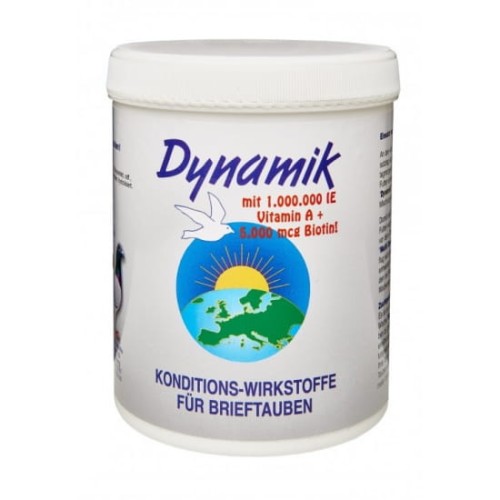 550px_033 dynamik.jpg