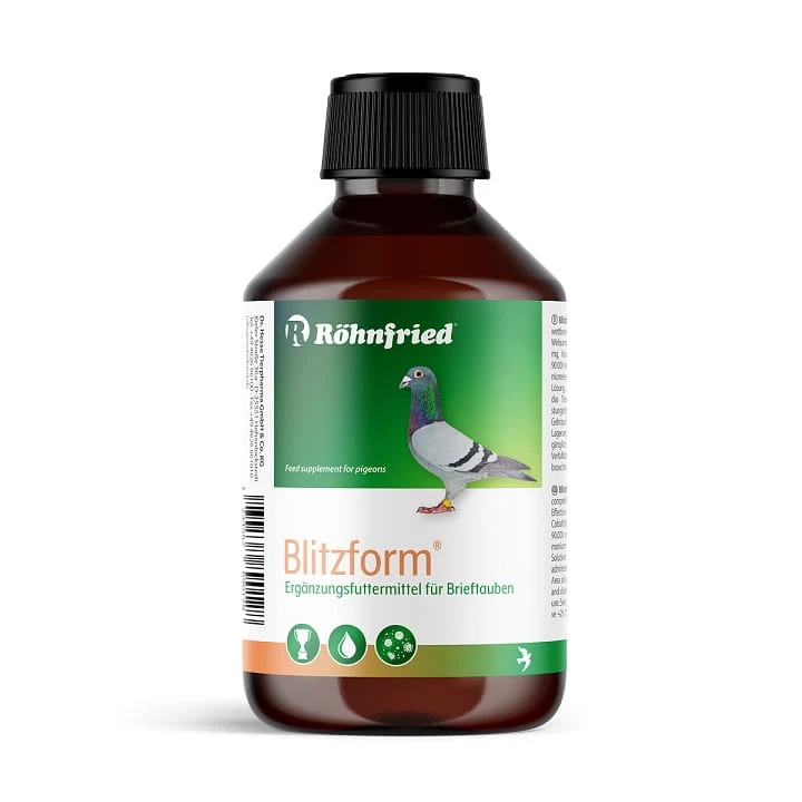 BLITZFORM2 (1).jpg