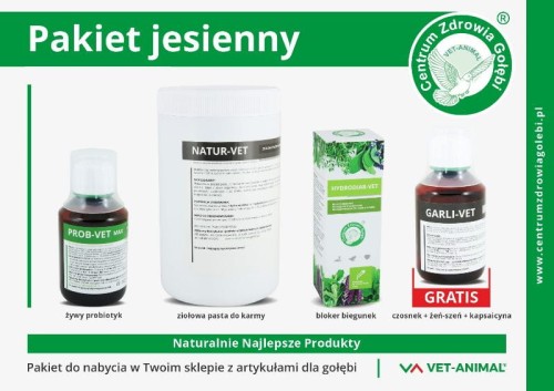 pakiet_jesienny_2023-10-03 v4 RGB_mail.jpg