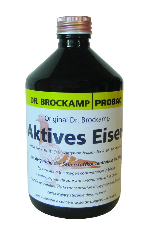 Aktives Eisen.13.jpg