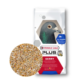 350px_gerry plus.png