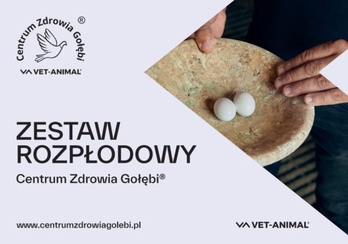 CZG-zestaw-rozplodowy-1024x720.jpg
