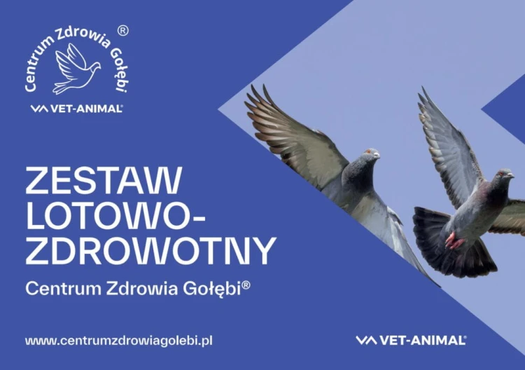 CZG-zestaw-lotowo-zdrowotny-1024x722.jpg