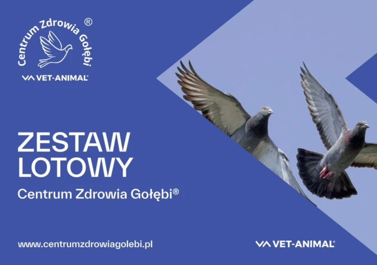 CZG-zestaw-lotowy-1024x721.jpg