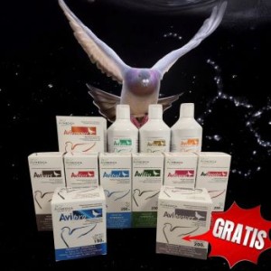 AVIMEDICA Zestaw Lotowy PEŁNY