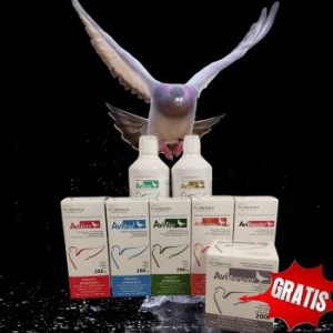 AVIMEDICA Zestaw Lotowy PODSTAWOWY