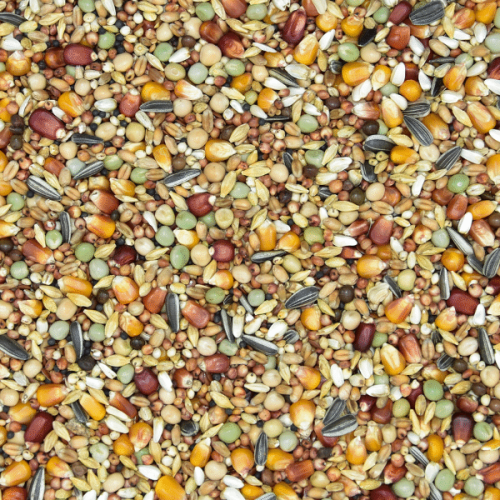 P-1-600x600.png