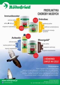 ZESTAW PROFILAKTYKA GOŁĘBIE MŁODE